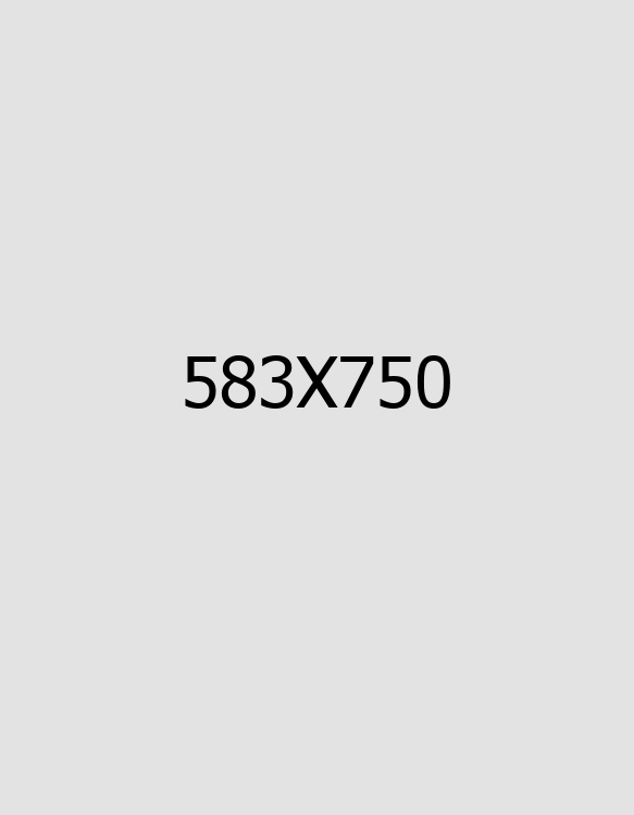 main slider